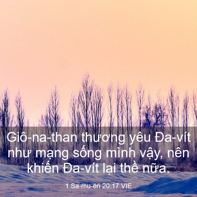 Picture 03 - 1 Sa-mu-ên 20:17 VIE - Giô-na-than thương yêu Đa-vít như mạng - Bible Verse Picture