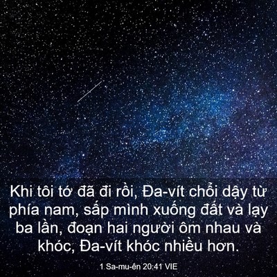 Picture 03 - 1 Sa-mu-ên 20:41 VIE - Khi tôi tớ đã đi rồi, Đa-vít chổi - Bible Verse Picture