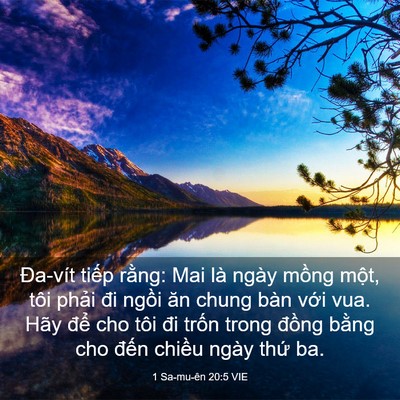 Picture 03 - 1 Sa-mu-ên 20:5 VIE - Đa-vít tiếp rằng: Mai là ngày mồng - Bible Verse Picture