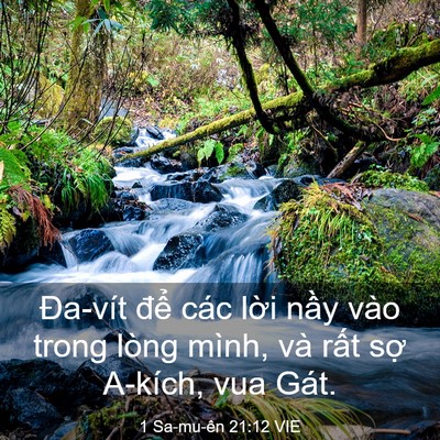 Picture 03 - 1 Sa-mu-ên 21:12 VIE - Đa-vít để các lời nầy vào trong lòng - Bible Verse Picture