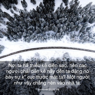 Picture 03 - 1 Sa-mu-ên 21:15 VIE - Nơi ta há thiếu kẻ điên sao, nên các - Bible Verse Picture