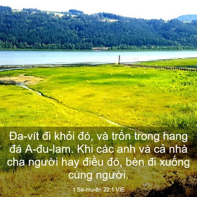 Picture 03 - 1 Sa-mu-ên 22:1 VIE - Đa-vít đi khỏi đó, và trốn trong hang - Bible Verse Picture