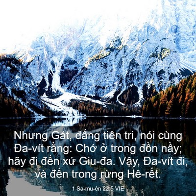 Picture 03 - 1 Sa-mu-ên 22:5 VIE - Nhưng Gát, đấng tiên tri, nói cùng - Bible Verse Picture