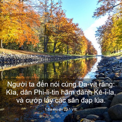 Picture 03 - 1 Sa-mu-ên 23:1 VIE - Người ta đến nói cùng Đa-vít rằng: - Bible Verse Picture