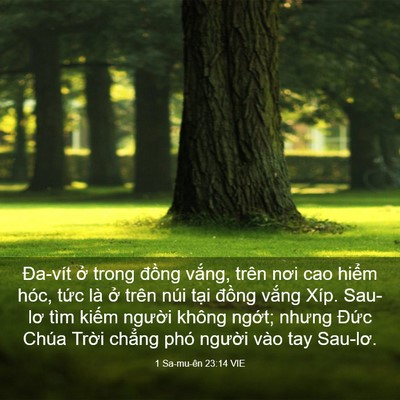Picture 03 - 1 Sa-mu-ên 23:14 VIE - Đa-vít ở trong đồng vắng, trên nơi cao - Bible Verse Picture