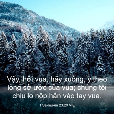 Picture 03 - 1 Sa-mu-ên 23:20 VIE - Vậy, hỡi vua, hãy xuống, y theo lòng sở - Bible Verse Picture
