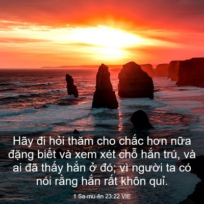 Picture 03 - 1 Sa-mu-ên 23:22 VIE - Hãy đi hỏi thăm cho chắc hơn nữa - Bible Verse Picture