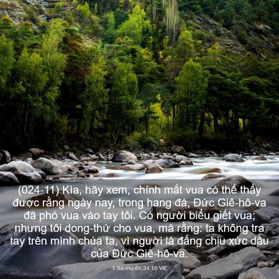 Picture 03 - 1 Sa-mu-ên 24:10 VIE - (024-11) Kìa, hãy xem, chính mắt vua có - Bible Verse Picture