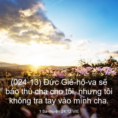 Picture 03 - 1 Sa-mu-ên 24:12 VIE - (024-13) Đức Giê-hô-va sẽ báo thù cha - Bible Verse Picture