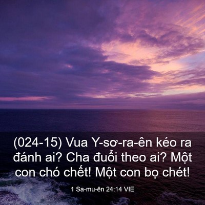 Picture 03 - 1 Sa-mu-ên 24:14 VIE - (024-15) Vua Y-sơ-ra-ên kéo ra đánh ai? Cha - Bible Verse Picture