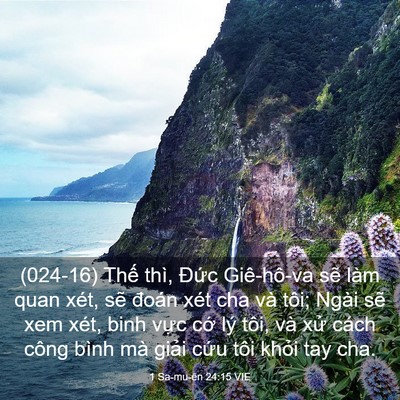 Picture 03 - 1 Sa-mu-ên 24:15 VIE - (024-16) Thế thì, Đức Giê-hô-va sẽ làm - Bible Verse Picture