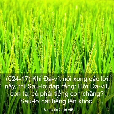 Picture 03 - 1 Sa-mu-ên 24:16 VIE - (024-17) Khi Đa-vít nói xong các lời nầy, - Bible Verse Picture