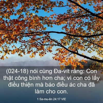 Picture 03 - 1 Sa-mu-ên 24:17 VIE - (024-18) nói cùng Đa-vít rằng: Con thật - Bible Verse Picture