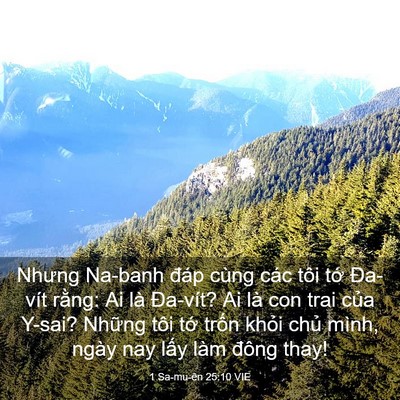 Picture 03 - 1 Sa-mu-ên 25:10 VIE - Nhưng Na-banh đáp cùng các tôi tớ - Bible Verse Picture