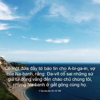 Picture 03 - 1 Sa-mu-ên 25:14 VIE - Có một đứa đầy tớ báo tin cho - Bible Verse Picture