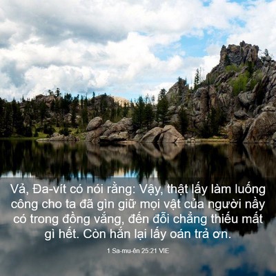 Picture 03 - 1 Sa-mu-ên 25:21 VIE - Vả, Đa-vít có nói rằng: Vậy, thật - Bible Verse Picture