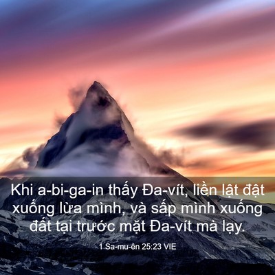 Picture 03 - 1 Sa-mu-ên 25:23 VIE - Khi a-bi-ga-in thấy Đa-vít, liền lật - Bible Verse Picture
