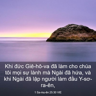 Picture 03 - 1 Sa-mu-ên 25:30 VIE - Khi đức Giê-hô-va đã làm cho chúa tôi - Bible Verse Picture