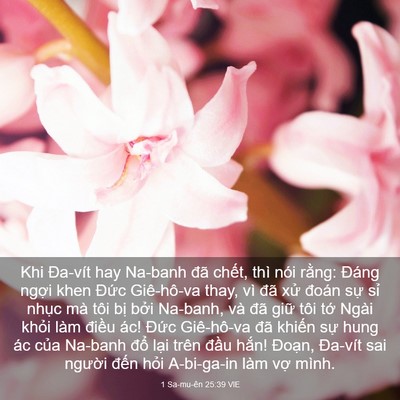 Picture 03 - 1 Sa-mu-ên 25:39 VIE - Khi Đa-vít hay Na-banh đã chết, thì nói - Bible Verse Picture