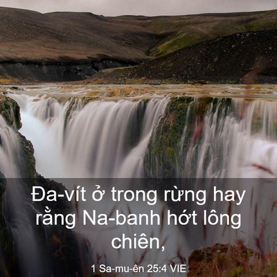 Picture 03 - 1 Sa-mu-ên 25:4 VIE - Đa-vít ở trong rừng hay rằng Na-banh - Bible Verse Picture