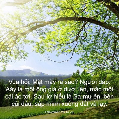 Picture 03 - 1 Sa-mu-ên 28:14 VIE - Vua hỏi: Mặt mày ra sao? Người đáp: - Bible Verse Picture