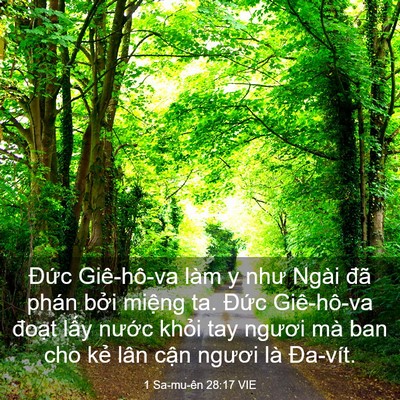 Picture 03 - 1 Sa-mu-ên 28:17 VIE - Đức Giê-hô-va làm y như Ngài đã phán - Bible Verse Picture
