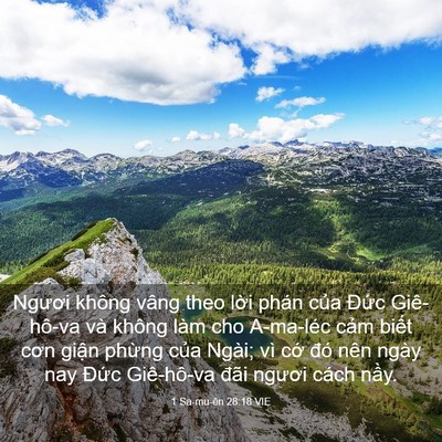 Picture 03 - 1 Sa-mu-ên 28:18 VIE - Ngươi không vâng theo lời phán của - Bible Verse Picture
