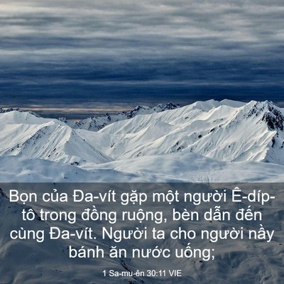 Picture 03 - 1 Sa-mu-ên 30:11 VIE - Bọn của Đa-vít gặp một người - Bible Verse Picture