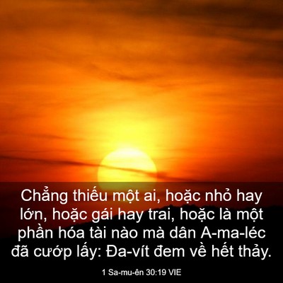 Picture 03 - 1 Sa-mu-ên 30:19 VIE - Chẳng thiếu một ai, hoặc nhỏ hay lớn, - Bible Verse Picture