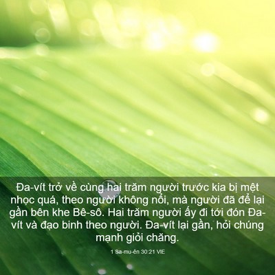 Picture 03 - 1 Sa-mu-ên 30:21 VIE - Đa-vít trở về cùng hai trăm người - Bible Verse Picture