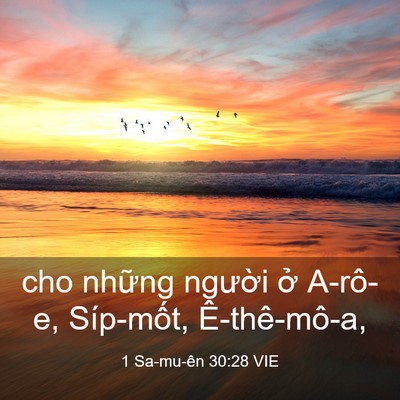 Picture 03 - 1 Sa-mu-ên 30:28 VIE - cho những người ở A-rô-e, Síp-mốt, - Bible Verse Picture