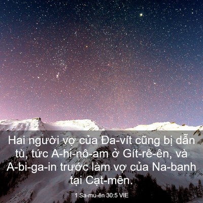 Picture 03 - 1 Sa-mu-ên 30:5 VIE - Hai người vợ của Đa-vít cũng bị dẫn - Bible Verse Picture