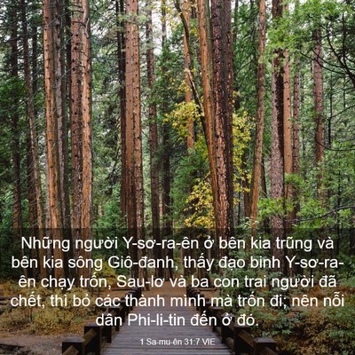 Picture 03 - 1 Sa-mu-ên 31:7 VIE - Những người Y-sơ-ra-ên ở bên kia trũng - Bible Verse Picture
