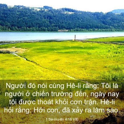 Picture 03 - 1 Sa-mu-ên 4:16 VIE - Người đó nói cùng Hê-li rằng: Tôi là - Bible Verse Picture