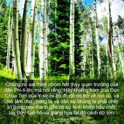Picture 03 - 1 Sa-mu-ên 5:11 VIE - Chúng nó sai thỉnh nhóm hết thảy quan - Bible Verse Picture