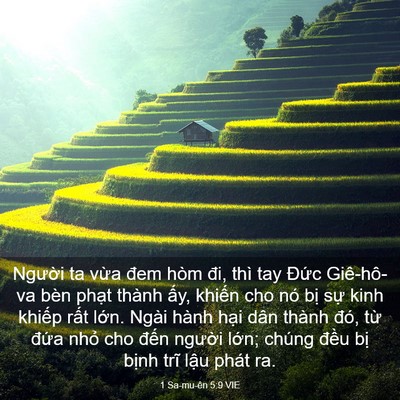 Picture 03 - 1 Sa-mu-ên 5:9 VIE - Người ta vừa đem hòm đi, thì tay Đức - Bible Verse Picture