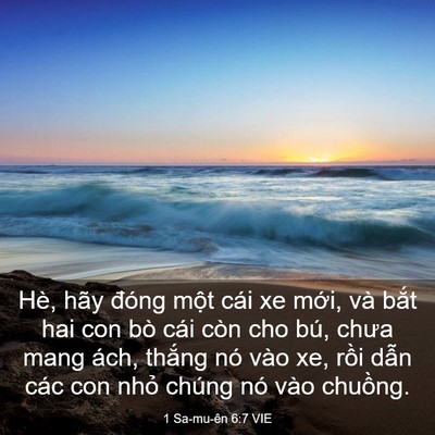 Picture 03 - 1 Sa-mu-ên 6:7 VIE - Hè, hãy đóng một cái xe mới, và bắt - Bible Verse Picture