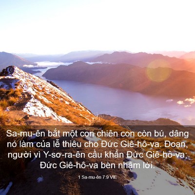 Picture 03 - 1 Sa-mu-ên 7:9 VIE - Sa-mu-ên bắt một con chiên con còn bú, - Bible Verse Picture