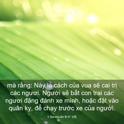 Picture 03 - 1 Sa-mu-ên 8:11 VIE - mà rằng: Này là cách của vua sẽ cai - Bible Verse Picture
