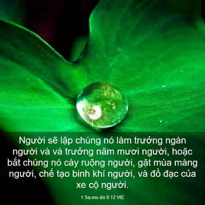 Picture 03 - 1 Sa-mu-ên 8:12 VIE - Người sẽ lập chúng nó làm trưởng - Bible Verse Picture
