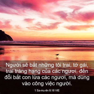 Picture 03 - 1 Sa-mu-ên 8:16 VIE - Người sẽ bắt những tôi trai, tớ gái, - Bible Verse Picture