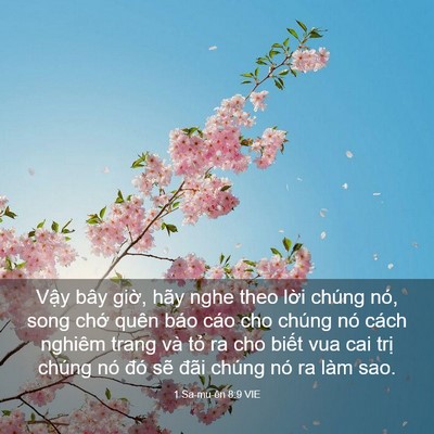 Picture 03 - 1 Sa-mu-ên 8:9 VIE - Vậy bây giờ, hãy nghe theo lời chúng - Bible Verse Picture