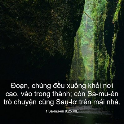 Picture 03 - 1 Sa-mu-ên 9:25 VIE - Đoạn, chúng đều xuống khỏi nơi cao, - Bible Verse Picture