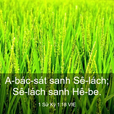 Picture 03 - 1 Sử Ký 1:18 VIE - A-bác-sát sanh Sê-lách; Sê-lách sanh - Bible Verse Picture