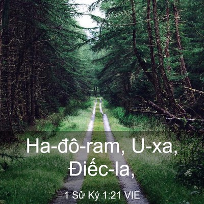 Picture 03 - 1 Sử Ký 1:21 VIE - Ha-đô-ram, U-xa, - Bible Verse Picture