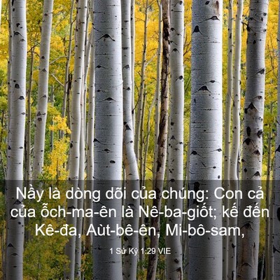 Picture 03 - 1 Sử Ký 1:29 VIE - Nầy là dòng dõi của chúng: Con cả của - Bible Verse Picture