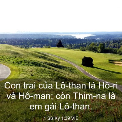Picture 03 - 1 Sử Ký 1:39 VIE - Con trai của Lô-than là Hô-ri và Hô-man; - Bible Verse Picture