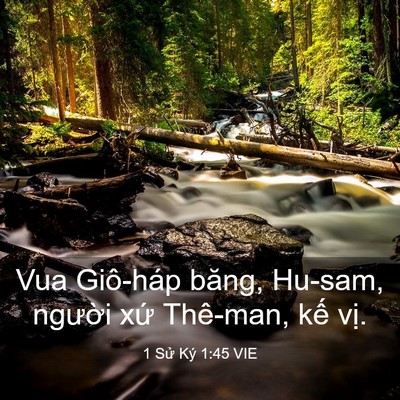 Picture 03 - 1 Sử Ký 1:45 VIE - Vua Giô-háp băng, Hu-sam, người xứ - Bible Verse Picture
