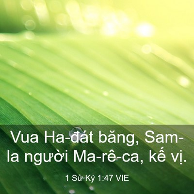 Picture 03 - 1 Sử Ký 1:47 VIE - Vua Ha-đát băng, Sam-la người Ma-rê-ca, - Bible Verse Picture