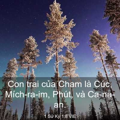 Picture 03 - 1 Sử Ký 1:8 VIE - Con trai của Cham là Cúc, Mích-ra-im, Phút, - Bible Verse Picture
